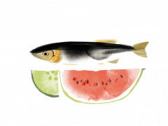 180729-魚中香妃-圖