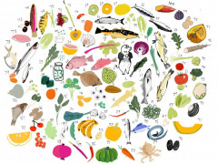 180923-最有營養食物100種-圖